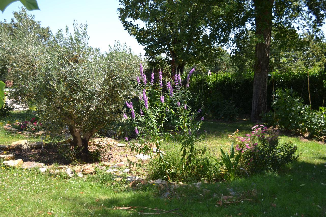 Hotel Le Castel Brissac-Quince Exterior photo